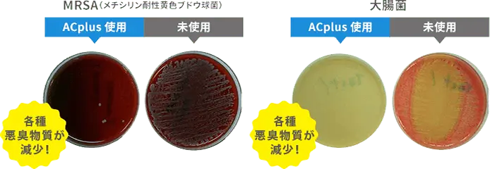 除菌効果を検証する実験